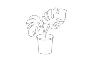 Hand drawn vector of Swiss Cheese Plant in Black and white. Outline, stroke and line art illustration.