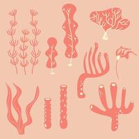 red and pink cute set with algae, corals, marine plants vector illustration