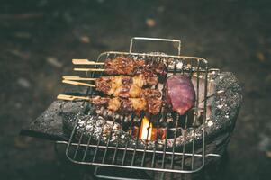 Pieces of beef skewers grilled on a skewer in a clay oven. photo