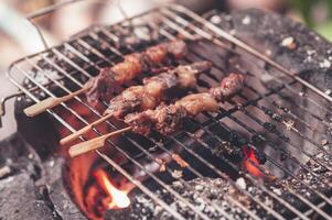 Pieces of beef skewers grilled on a skewer in a clay oven. photo