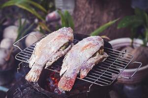 el rubí pescado es saburral con sal y metido en un carbón parrilla en un arcilla horno. foto