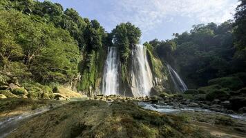 background nature landscape waterfall in the jungle with rocks and trees photo