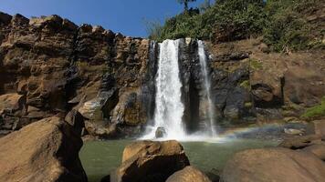 background nature landscape waterfall in the jungle with rocks and trees photo