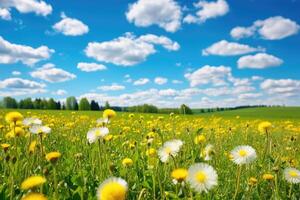 AI generated Beautiful meadow field with fresh grass and yellow dandelion flowers in nature photo