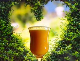 naranja jugo en bar vaso en frente de hojas corazón forma- Fruta bebida en el vaso - cóctel foto