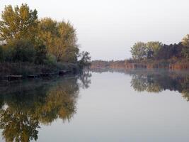 otoño vistoso arboles reflejando en tranquilo río foto