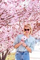 sakura o Cereza florecer en primavera temporada con lleno floración rosado flor viaje concep foto