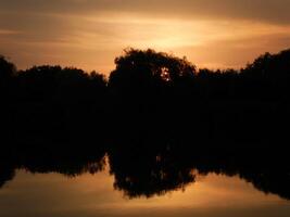 Beautiful trees silhouette reflecting at the golden water photo