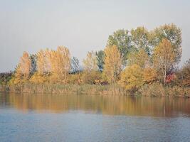 otoño vistoso arboles reflejando en tranquilo río foto