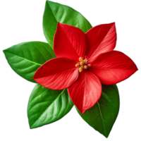 AI generated Christmas decorative leafs with red flower ai png