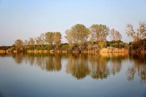 Autumn Colorful Trees Reflecting in Tranquil River photo