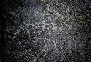 Dark Grunge Concrete Lichen Background photo