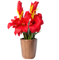 AI generated Red gladiolus flower in a wooden vase isolated on transparent background png
