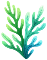 AI generated Colorful seaweed ocean flora watercolor illustration AI Generative png