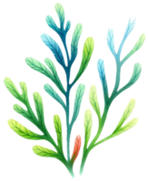 AI generated Colorful seaweed ocean flora watercolor illustration AI Generative png