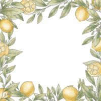 Watercolor frame of lemon branches. Lemon square border. Black stroke, lemon sketch png