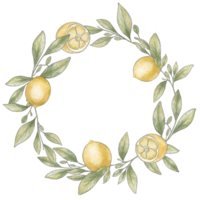 Watercolor wreath of lemon branches. Lemon frame. Black stroke, lemon sketch png