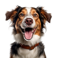 AI generated Very happy smiling dog portrait isolated on transparent background, created with generative AI png