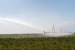 Irrigation System Watering Crops on Farm Field. photo