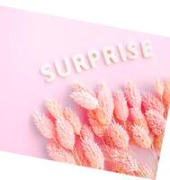 Beautiful pink dried flowers on a pink background with the inscription surprise in white letters and free space for the text photo