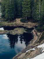 montaña lago en abeto bosque en un antecedentes de azul cielo foto