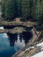 Mountain lake in spruce forest on a background of blue sky photo