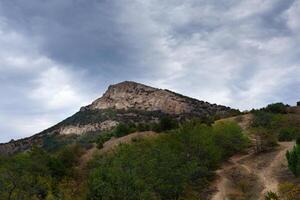 landscape with yellow and green trees against mountains and the beautiful sky photo