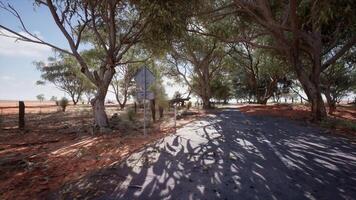 un' panoramico strada con alberi e un' cartello nel il mezzo video