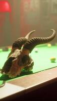 A bull skull sitting on top of a pool table video