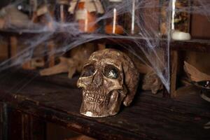 Halloween background Shelves with alchemy tools Skull spiderweb bottle with poison candles photo