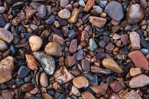 texture of wet shiny small sea stones photo