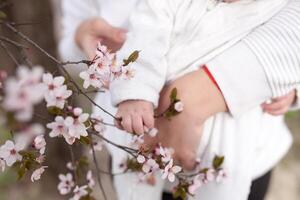 Baby touching flowers. children's hands closeup photo