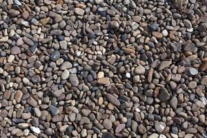 texture of  small sea stones photo