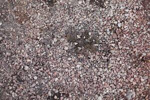 a close up of a small patch of gravel photo