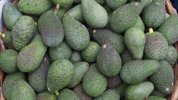 young women hand choosing fresh avocado shopping at retail store . video