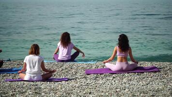 Young woman with black hair, fitness instructor in leggings and tops doing stretching and pilates on yoga mat near the sea. Female fitness yoga routine concept Healthy lifestyle harmony and meditation video