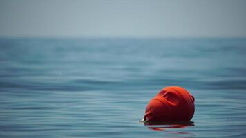 Orange sécurité bouées sur une corde flottant dans le mer sur une ensoleillé jour, proche en haut. escrime de le nager zone sur le plage. video