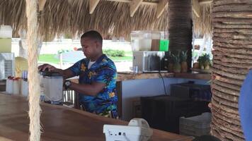 dominicano barman trabajando en un recurso video