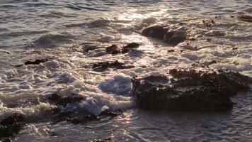 Shoreline with water that breaks on the rocks at Bayahibe video