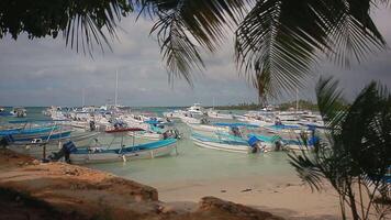 BAYAHIBE DOMINICAN REPUBLIC 22 JANUARY 2020 Many boats moored in the port of Bayahibe in the Dominican Republic video