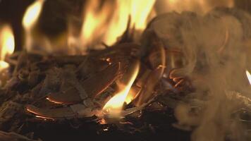 Burning wooden trunk slow motion 2 video