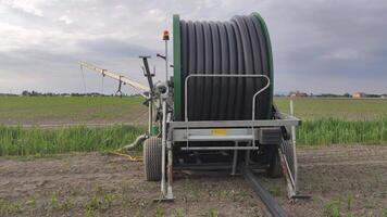 Hose reel sprinkler in action in a corn field video