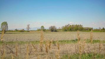 Po Valley countryside panorama video