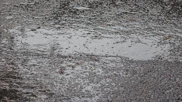 Sommer- oder Herbst Regen von Wasser fallen auf Asphalt video