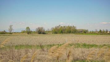 Po Valley countryside panorama video