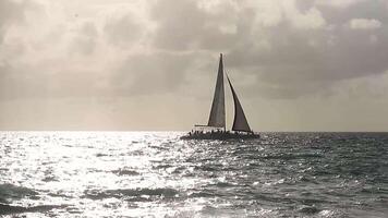bayahibe dominicano república 8 janeiro 2020 barco a vela às horizonte dentro caribe mar às pôr do sol video