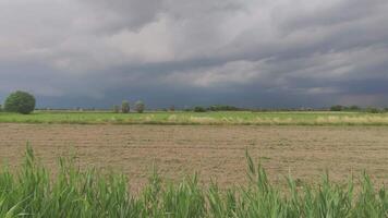 Gewitter im das Landschaft video