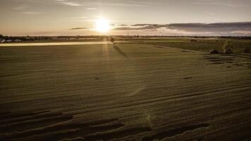 Orange Dusk Over Verdant Fields in Northern Italy Video Clip