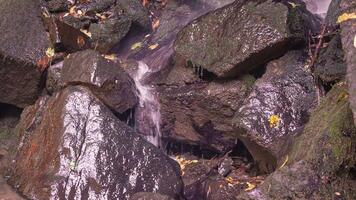 Water flows between the rocks video