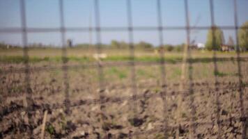 Countryside landscape behind the net video